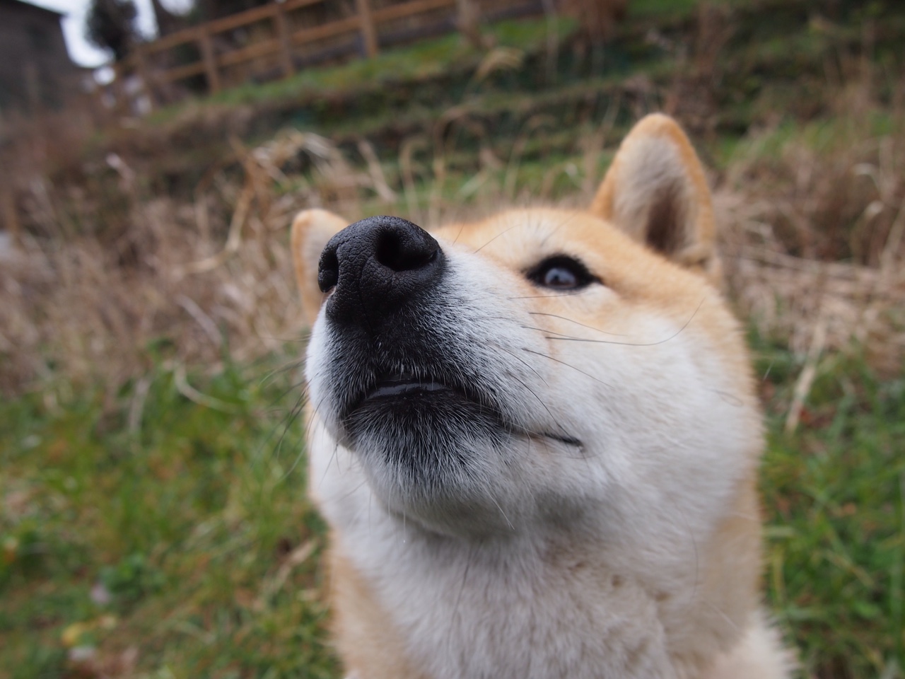 _标签:网球运动如何融入日常生活_,网球时如何锻炼