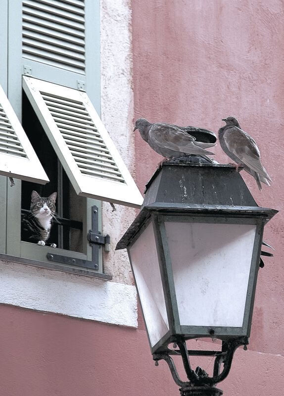 华丽转身：球员革新个人技术的关键时刻，华丽转身图