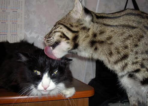 -足球球员媒介素养培训课程全面铺开，足球培训宣传页