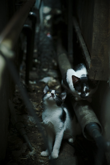 阿根廷轻取小组赛对手,状态火热,阿根廷小组出线