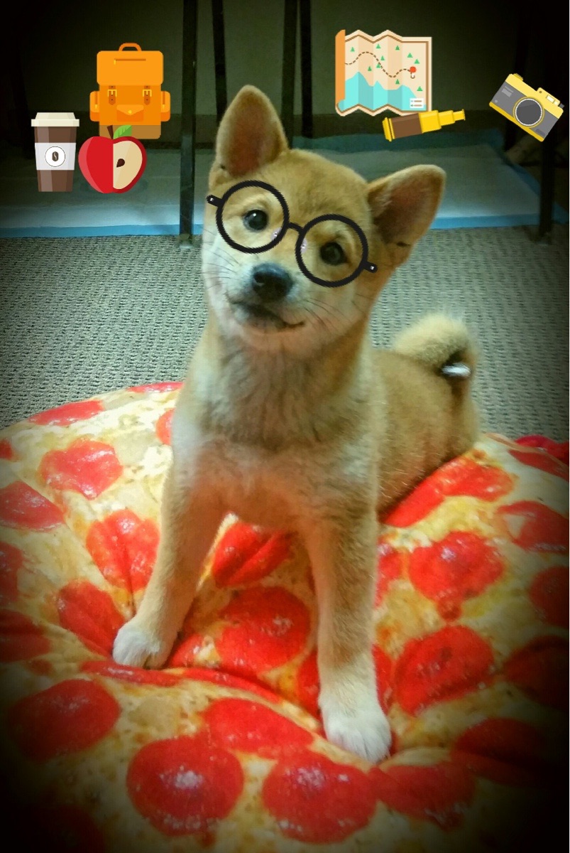 爱游戏-T1战队全明星阵容公布，t1战队全名