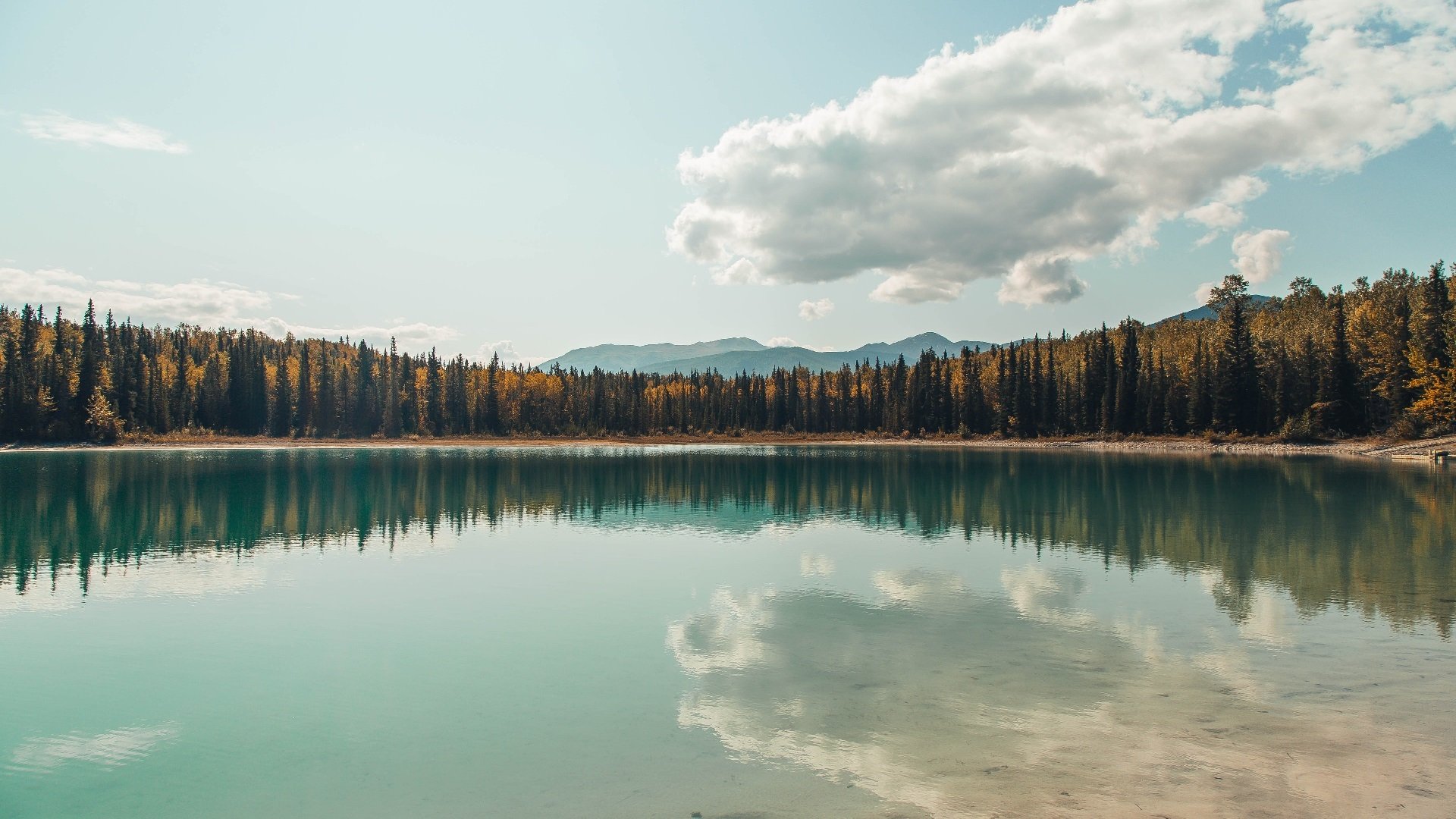 中国足球拟推出年度足球人物评选，中国足球杰出人物