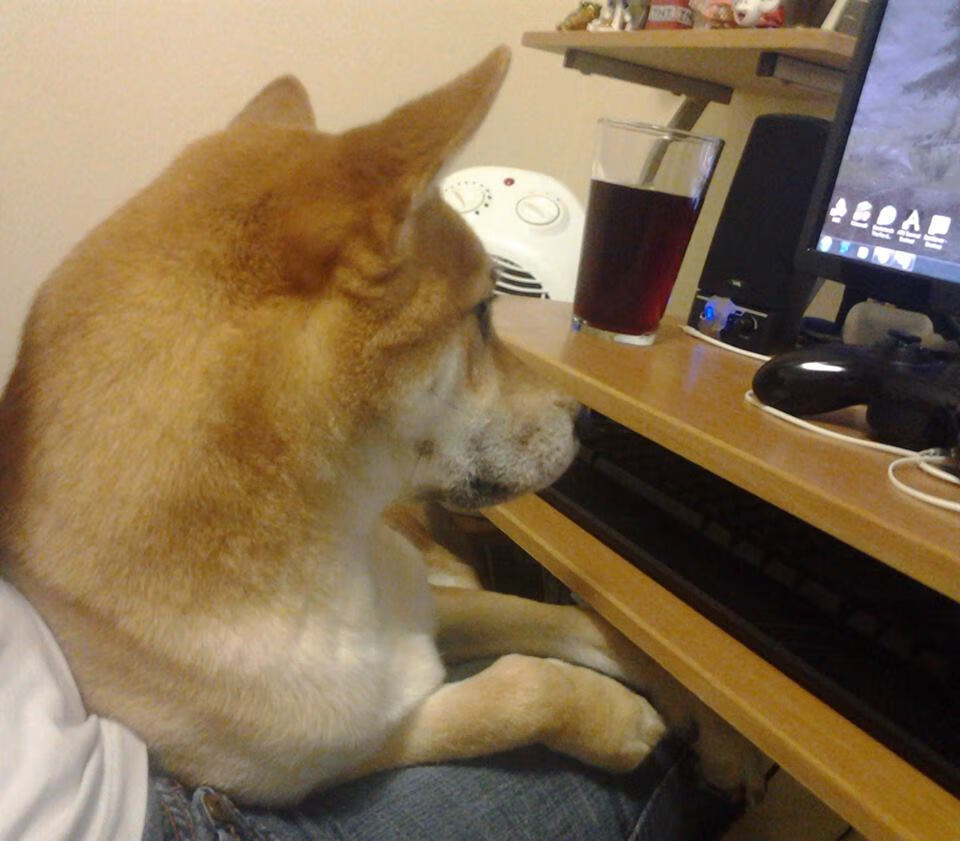 爱游戏中国官方登录入口网站-国内足球联赛阵容调整频繁，球队整体实力提升，中国足球联赛改革