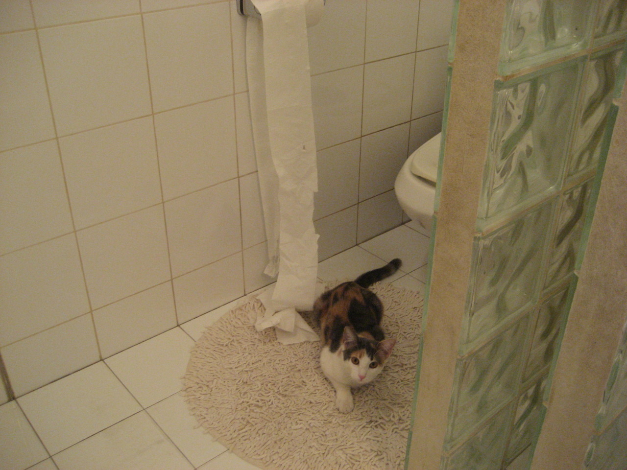 爱游戏app-布莱顿主场艰难获胜，保级形势稍缓，布莱顿足球俱乐部官网