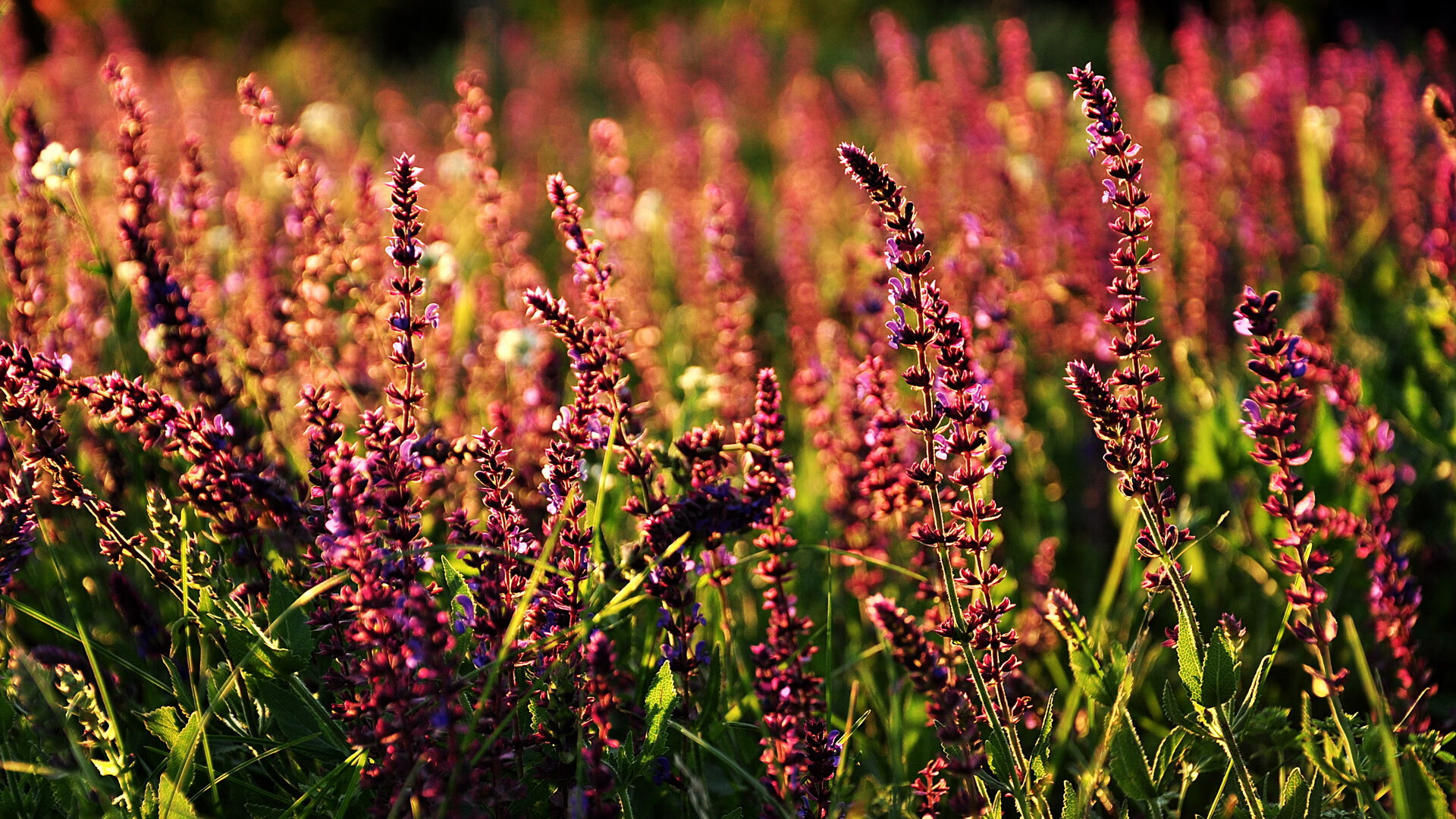 爱游戏app-顶级新秀签下重磅合同，打破转会记录，顶级新秀签下重磅合同,打破转会记录