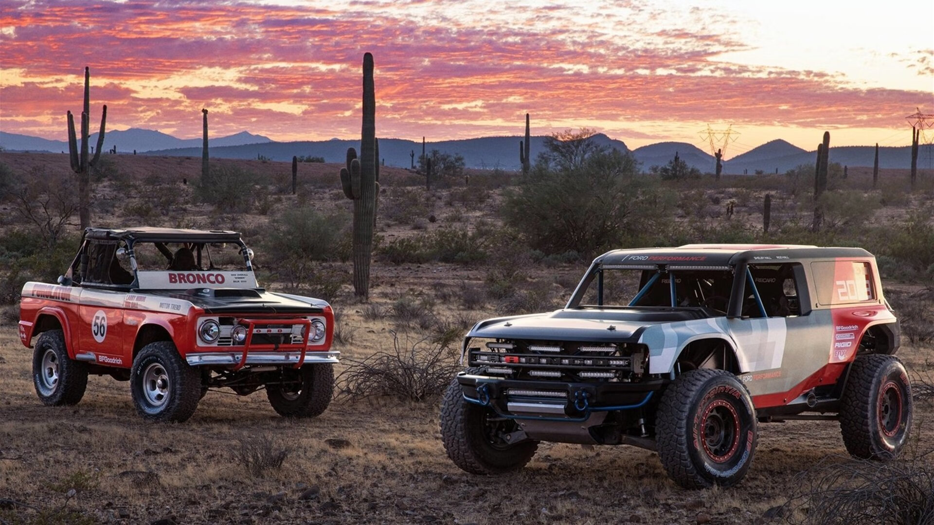 爱游戏官网-西班牙马术协会推出马术运动员心理健康支持计划，关注骑手身心健康。