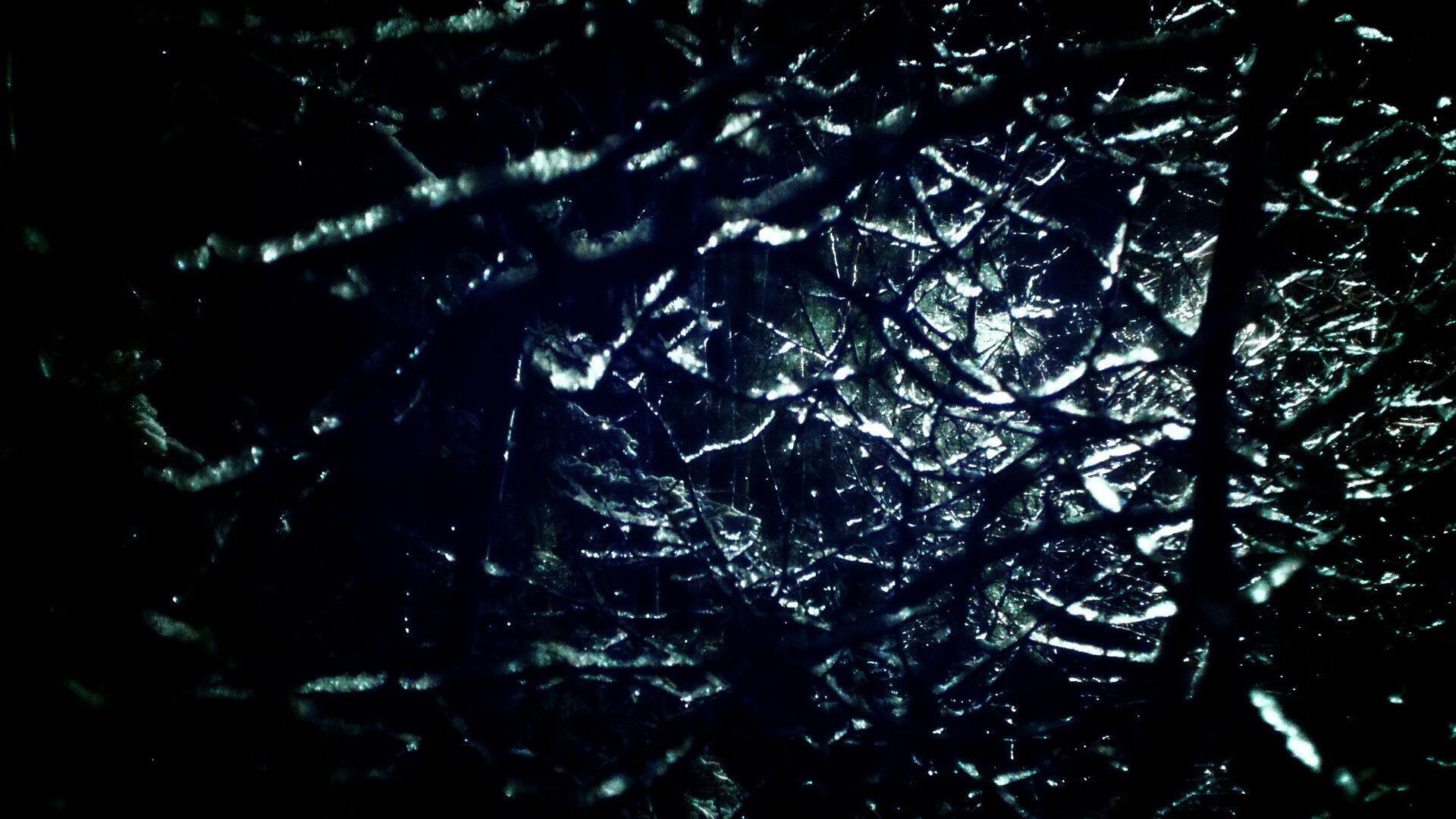 NBA球员交易动态解析，nba球员交易阶段总结