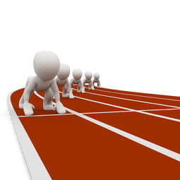 AYX GAME-中小学体育教师职业成长路径研究，中小学体育教师现状