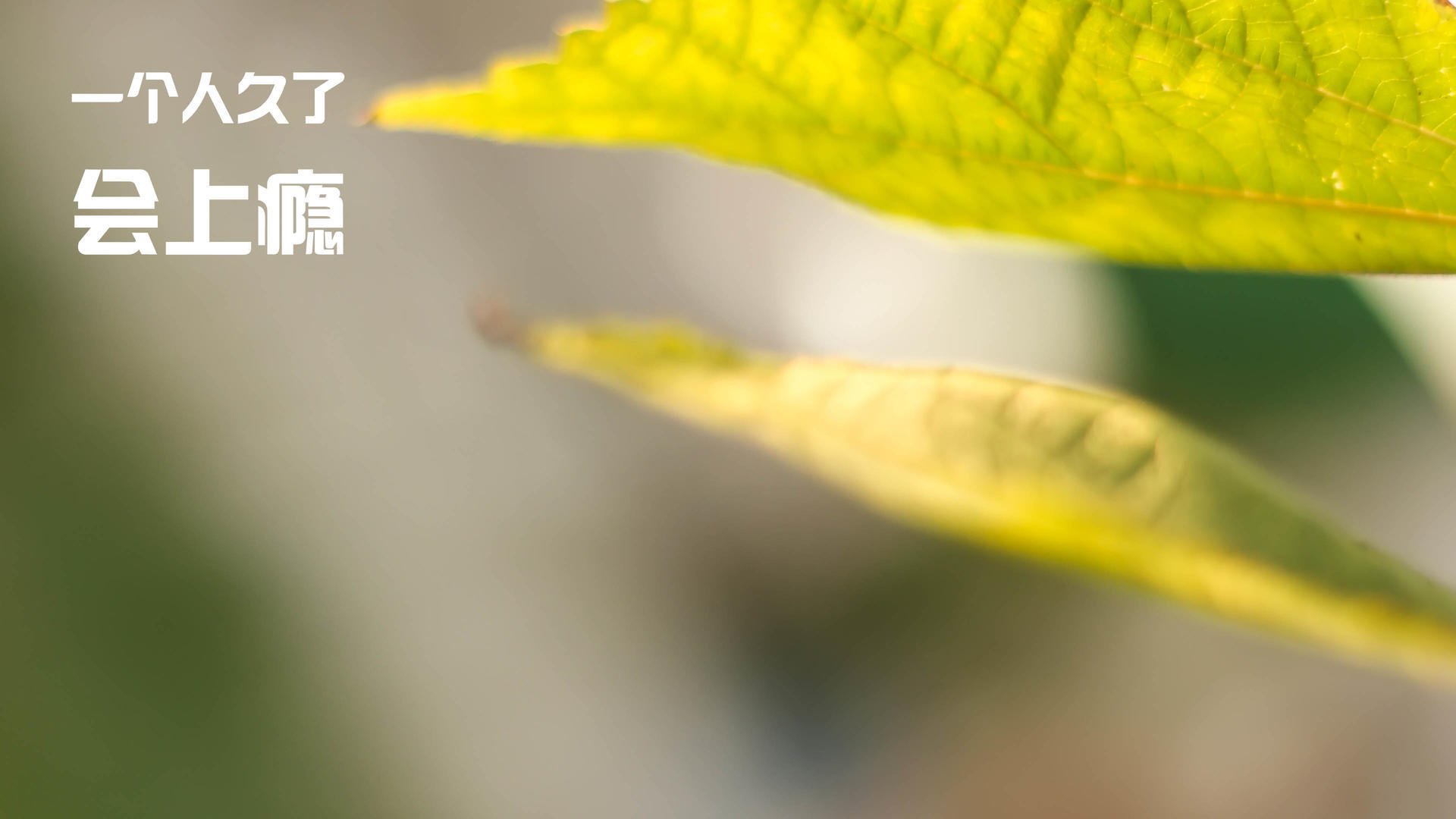 爱游戏app-五大联赛中途换帅成功率是否存在周期性，五大联赛人员变动