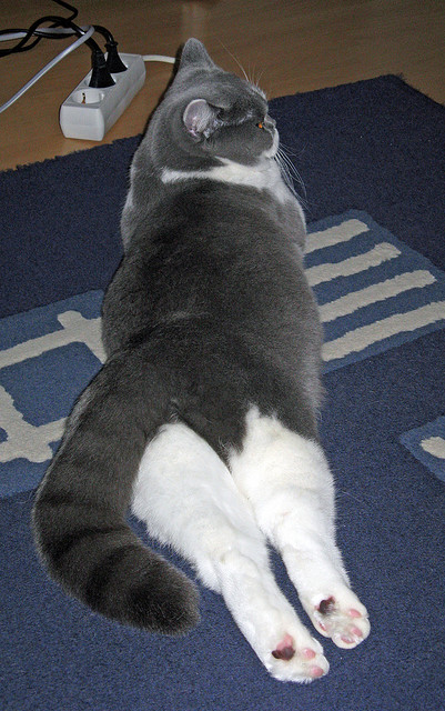 爱游戏中国官方登录入口网站-乌拉圭队士气高昂，期待在国际舞台再创佳绩