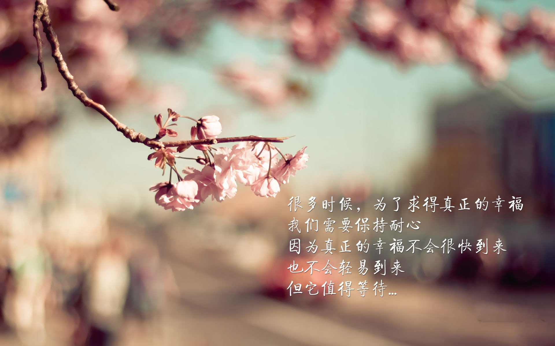 爱游戏娱乐-李娜提前出线网球公开赛，李娜网球公开赛视频